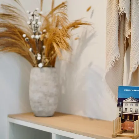 Toi-t Et Moi, Charming Penthouse, View Et Nature Lejlighed Malmedy